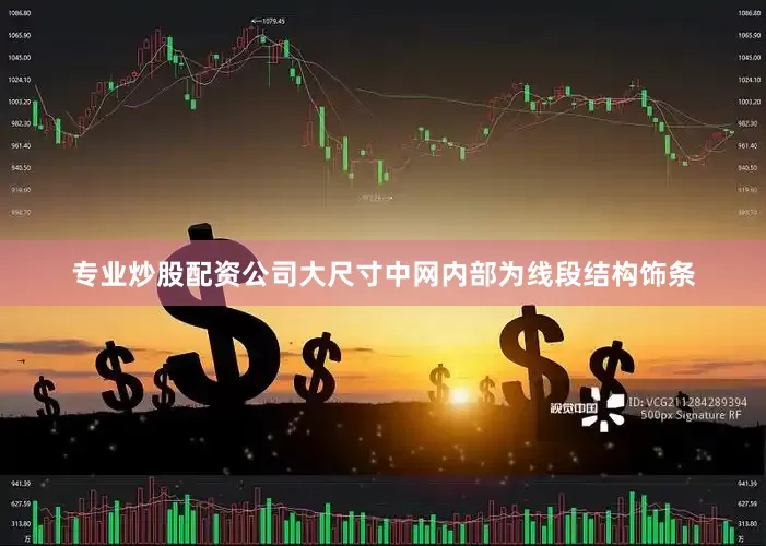专业炒股配资公司大尺寸中网内部为线段结构饰条