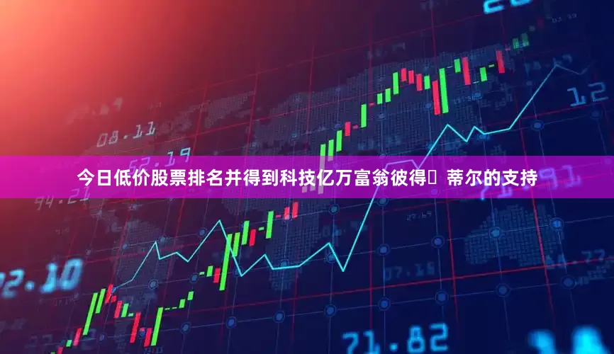 今日低价股票排名并得到科技亿万富翁彼得・蒂尔的支持