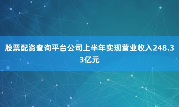 股票配资查询平台公司上半年实现营业收入248.33亿元