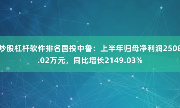 炒股杠杆软件排名国投中鲁：上半年归母净利润2508.02万元，同比增长2149.03%