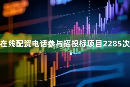 在线配资电话参与招投标项目2285次