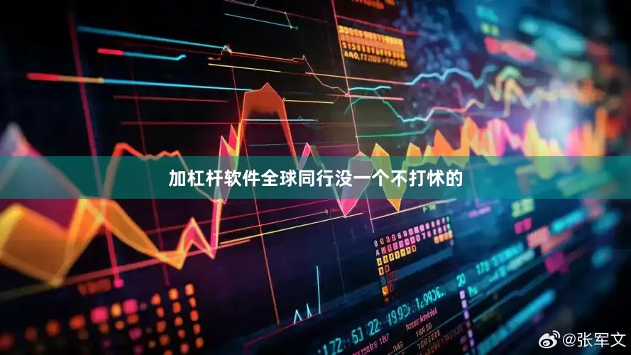 加杠杆软件全球同行没一个不打怵的