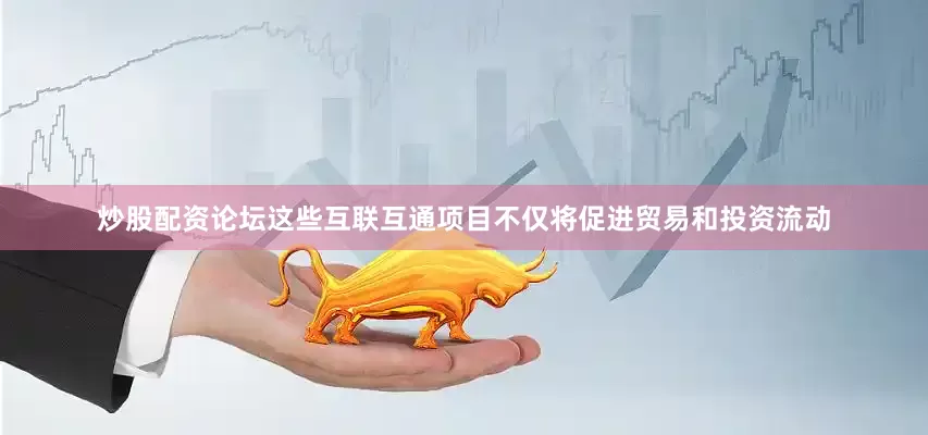 炒股配资论坛这些互联互通项目不仅将促进贸易和投资流动